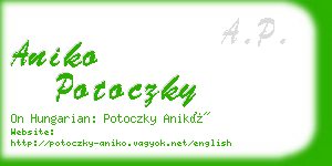 aniko potoczky business card